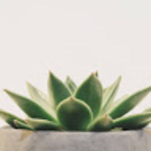 Meet your Posher, Jaylyn